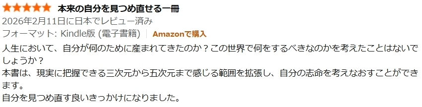 レビュー2枚目